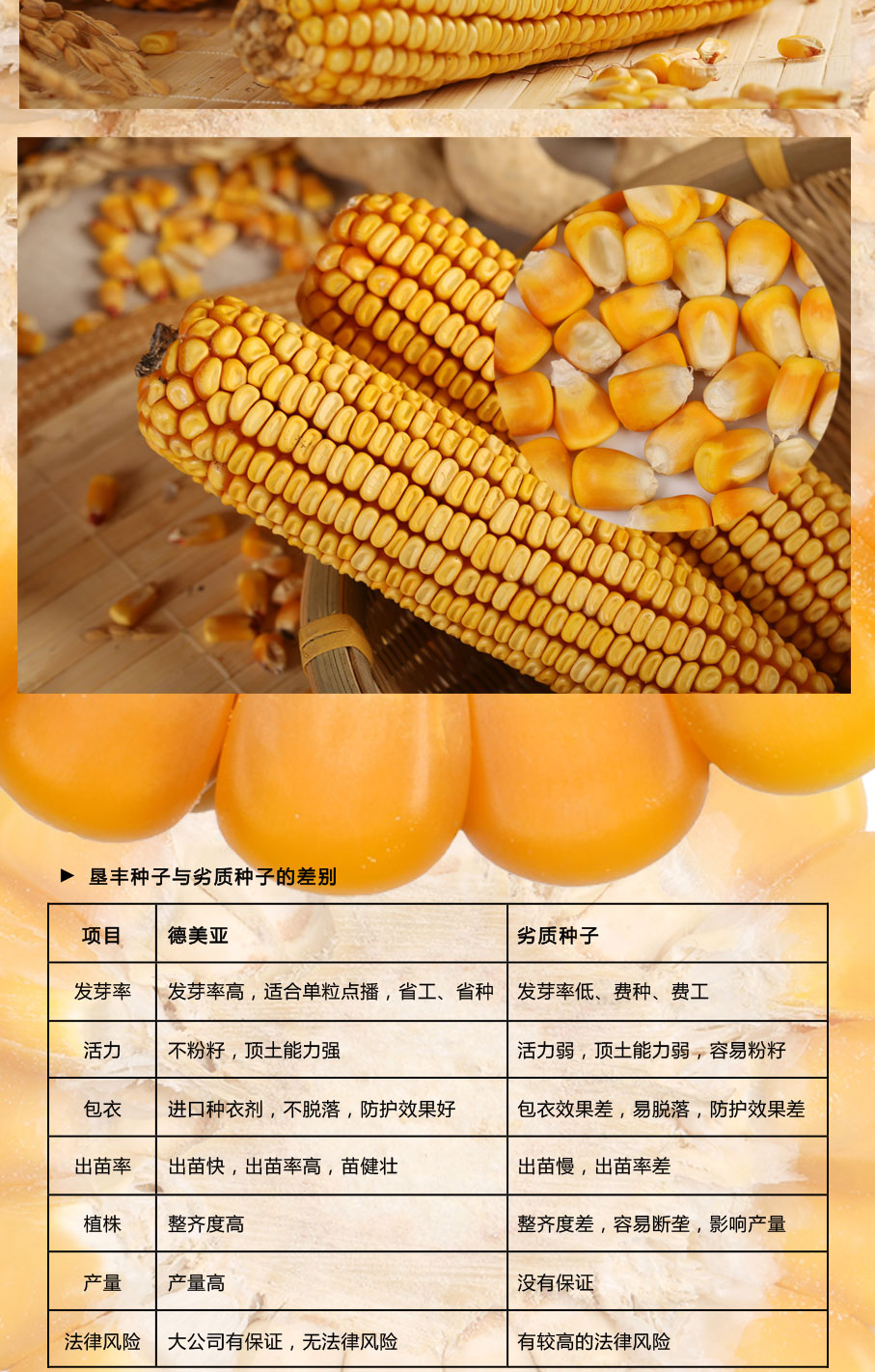德美亚3号