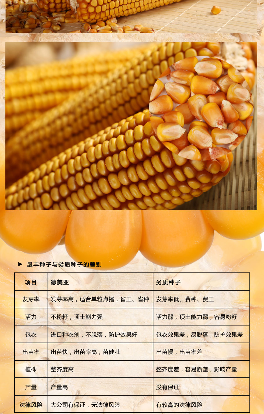 德美亚2号
